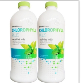 Nước diệp lục Chlorophyll Synergy hỗ trợ hệ tiêu hoá nhập khẩu Mỹ ( 1 chai 730ml)