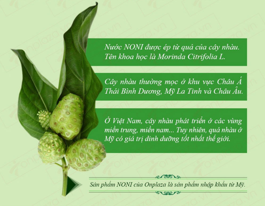 Nước Ép Trái Nhàu NONI TAHITIAN JUICE Phòng Chống Bệnh Ung Thư (4 chai / Thùng)