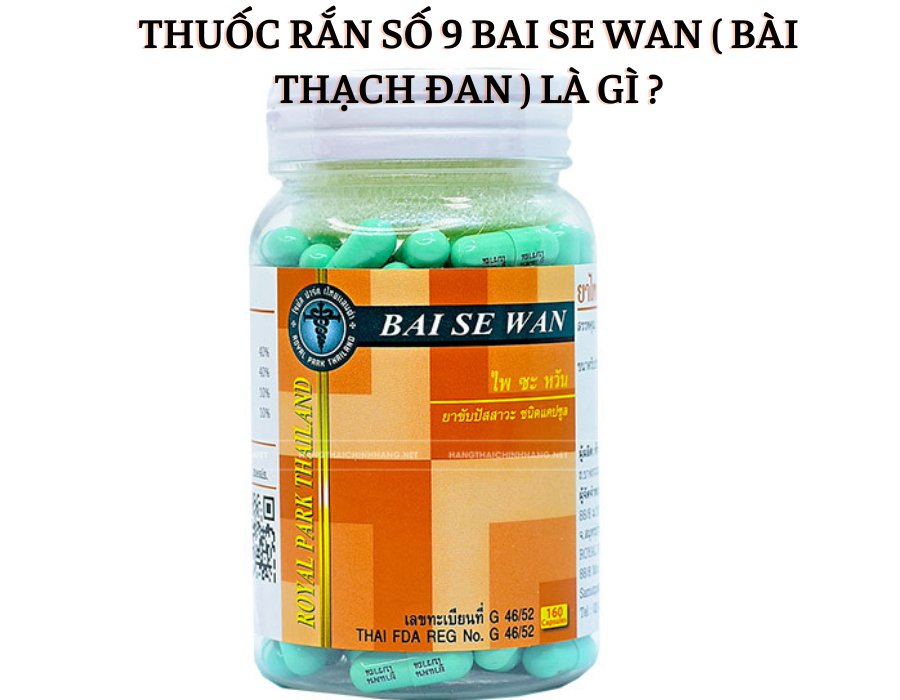 Thuốc Rắn Số 9 Bai Se Wan Hỗ Trợ Chức Năng Thận, Sỏi Thận nhập khẩu Thái Lan