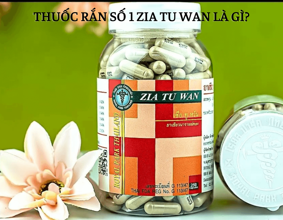 Thuốc Rắn Số 1  ZIA TU WAN Giải Độc Gan Nhập Khẩu Thái Lan ( hộp 160 viên)