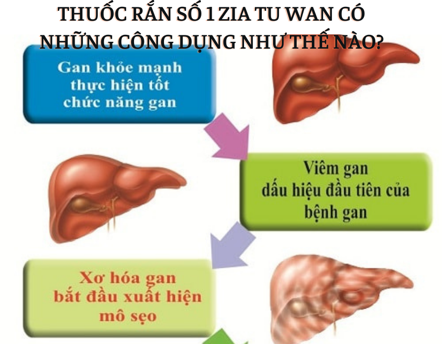 Thuốc Rắn Số 1  ZIA TU WAN Giải Độc Gan Nhập Khẩu Thái Lan ( hộp 160 viên)