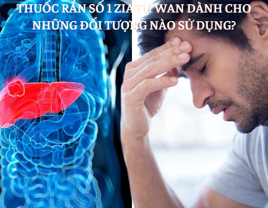 Thuốc Rắn Số 1  ZIA TU WAN Giải Độc Gan Nhập Khẩu Thái Lan ( hộp 160 viên)