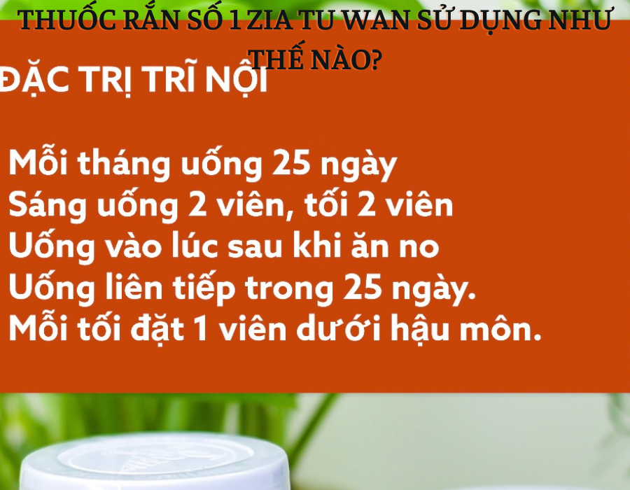 Thuốc Rắn Số 1  ZIA TU WAN Giải Độc Gan Nhập Khẩu Thái Lan ( hộp 160 viên)